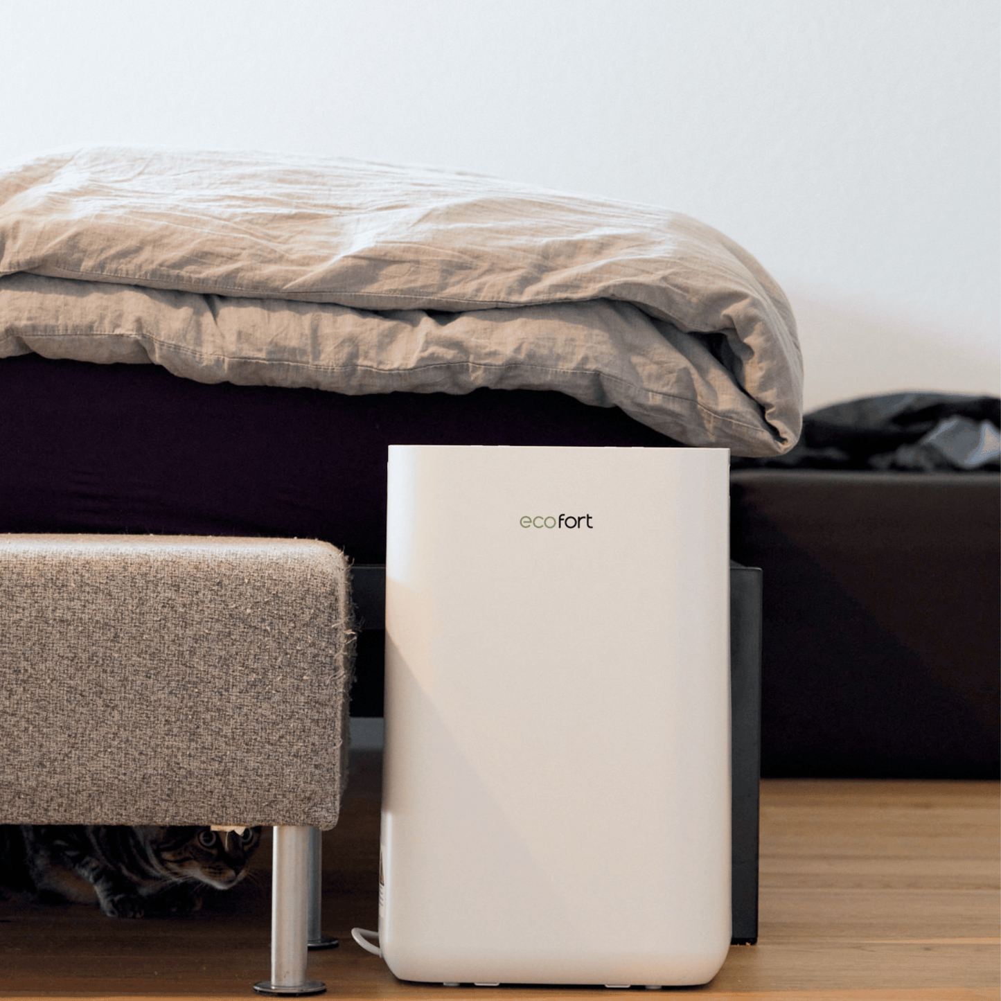 ecoQ DryAir 20L Energy Saver Luftentfeuchter mit Hygrostat, 20 l Entfeuchtungsleistung, energieeffizient.