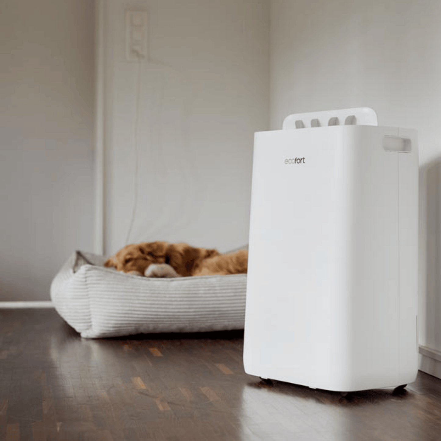 ecoQ DryAir 25L Luftentfeuchter mit Hygrostat und Kindersicherung für bis zu 60 m² grosse Räume.
