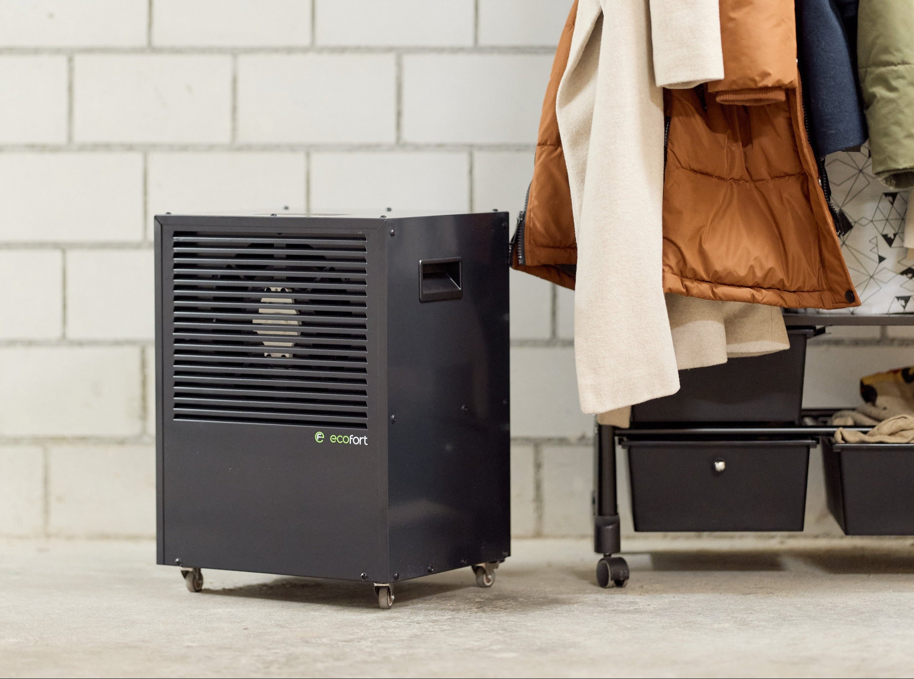 ecoDry CaveMaster XP in Black Shade im Kellerraum im Einsatz