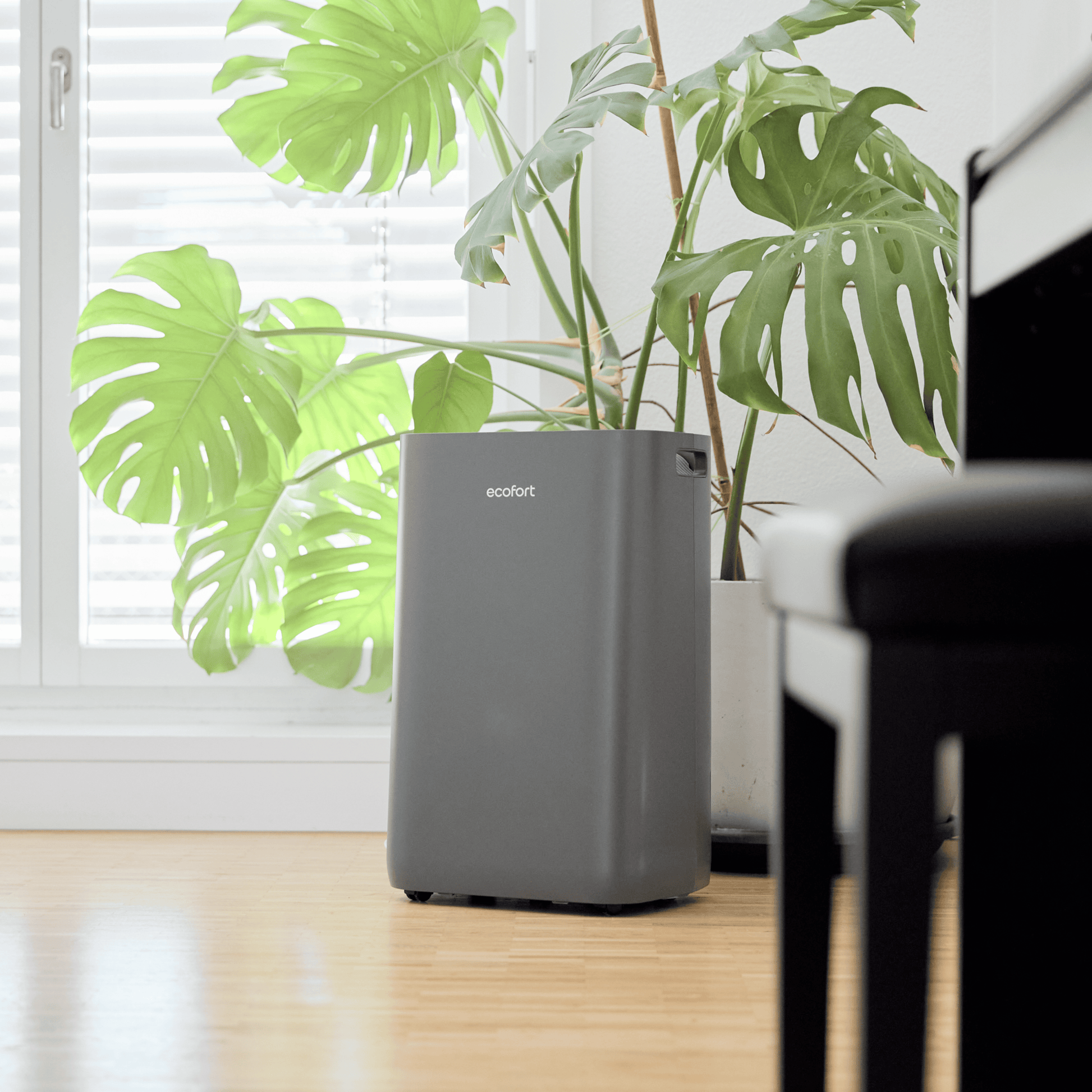 ecoq-dryair-20l-energy-saver---cool-grey-luftentfeuchter