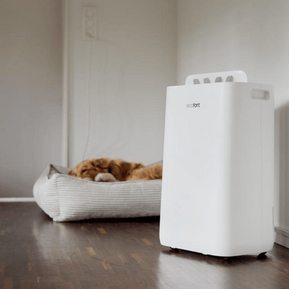 ecoQ DryAir 25L Luftentfeuchter mit Hygrostat und Kindersicherung für bis zu 60 m² grosse Räume.