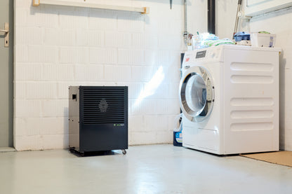 ecodry CaveMaster inGranite Grey, effizienter Luftentfeuchter mit 10.2 l/24h Entfeuchtungsleistung.