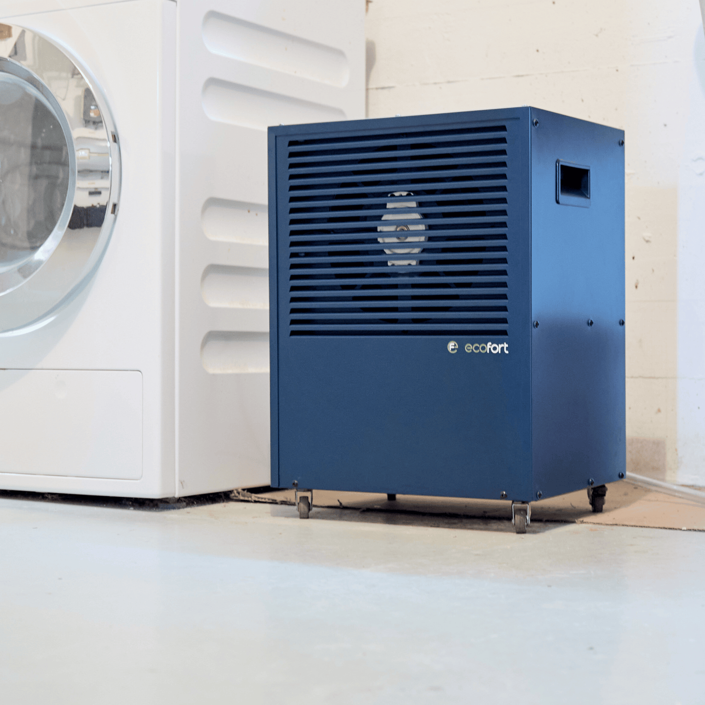 Setze ein Design-Statement im Weinkeller: Der ecodry CaveMaster Sapphire Blue schützt deine Weine zuverlässig und leise.
