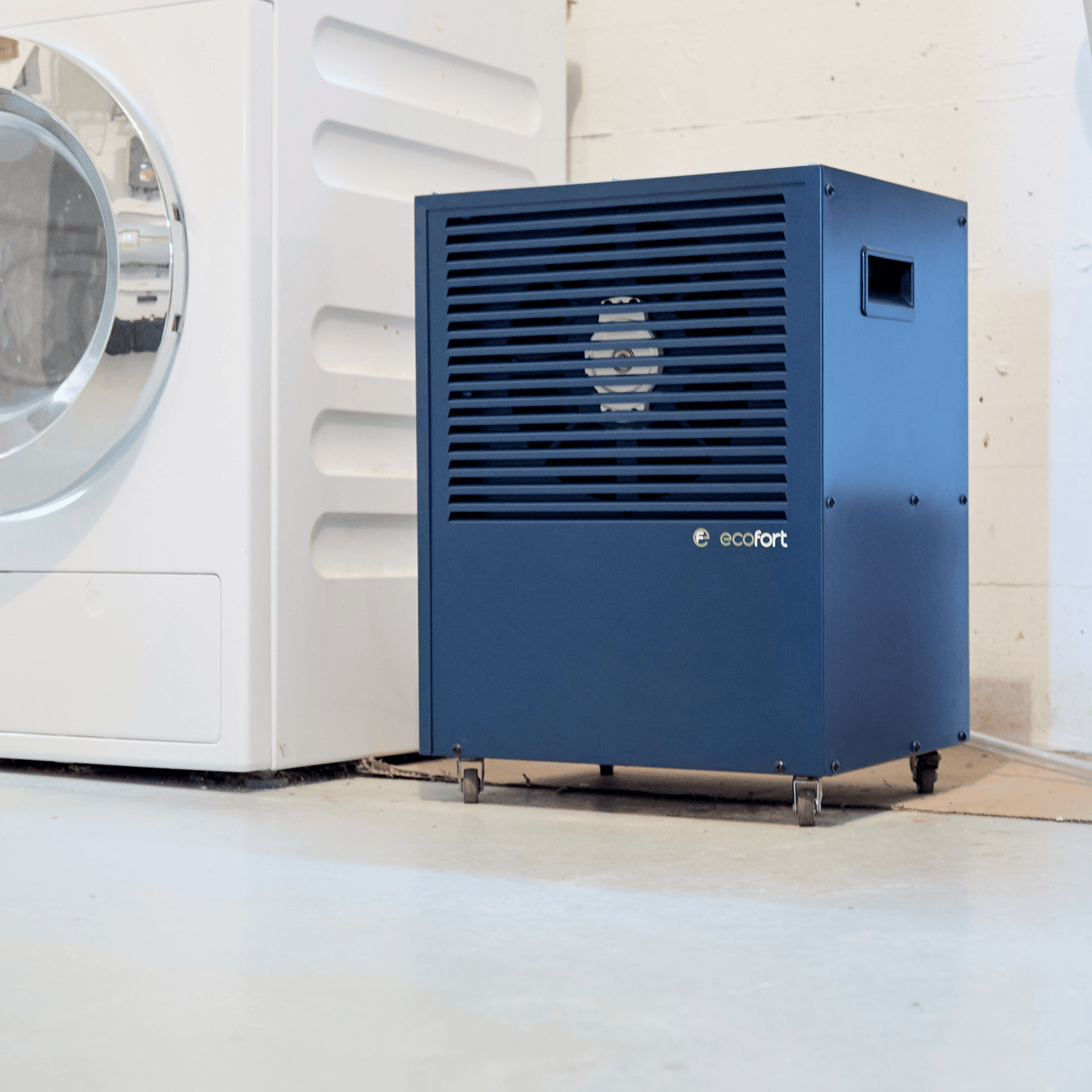 Setze ein Design-Statement im Weinkeller: Der ecodry CaveMaster Sapphire Blue schützt deine Weine zuverlässig und leise.