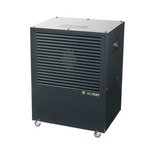 ecodry CaveMaster XP Black Shade: 40 % mehr Leistung & 70 % effizienter als Klasse A – mit Hygrostat & App für perfekte Feuchtigkeit im Weinkeller.