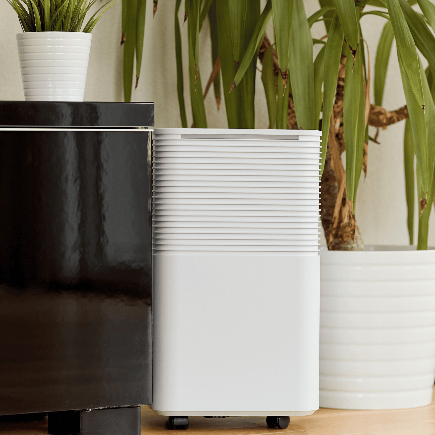 Einfach trockene Luft: ecoQ DryAir 12L Essential für 30 m² Räume – superleise, energiesparend und praktisch zu transportieren.