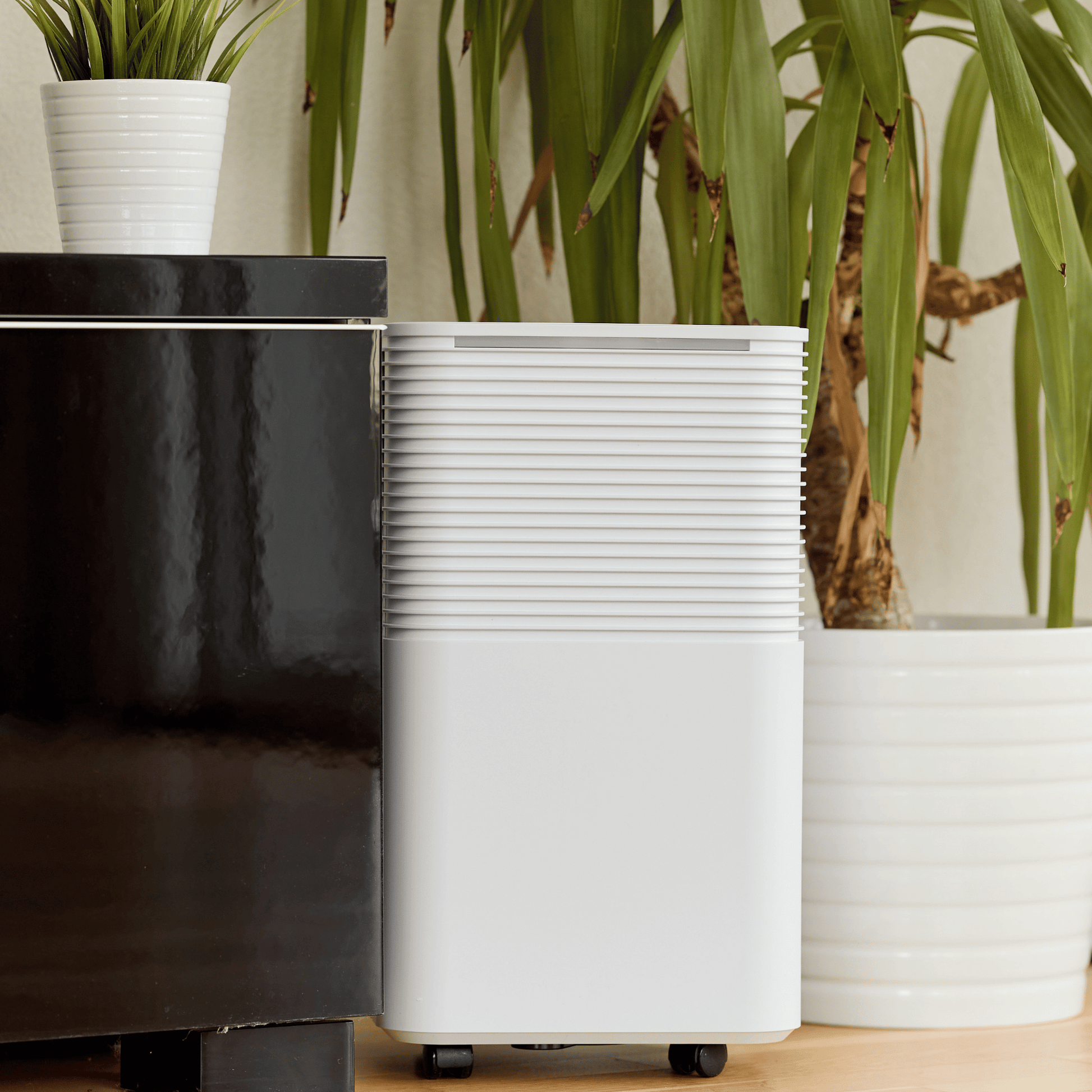 Einfach trockene Luft: ecoQ DryAir 12L Essential für 30 m² Räume – superleise, energiesparend und praktisch zu transportieren.