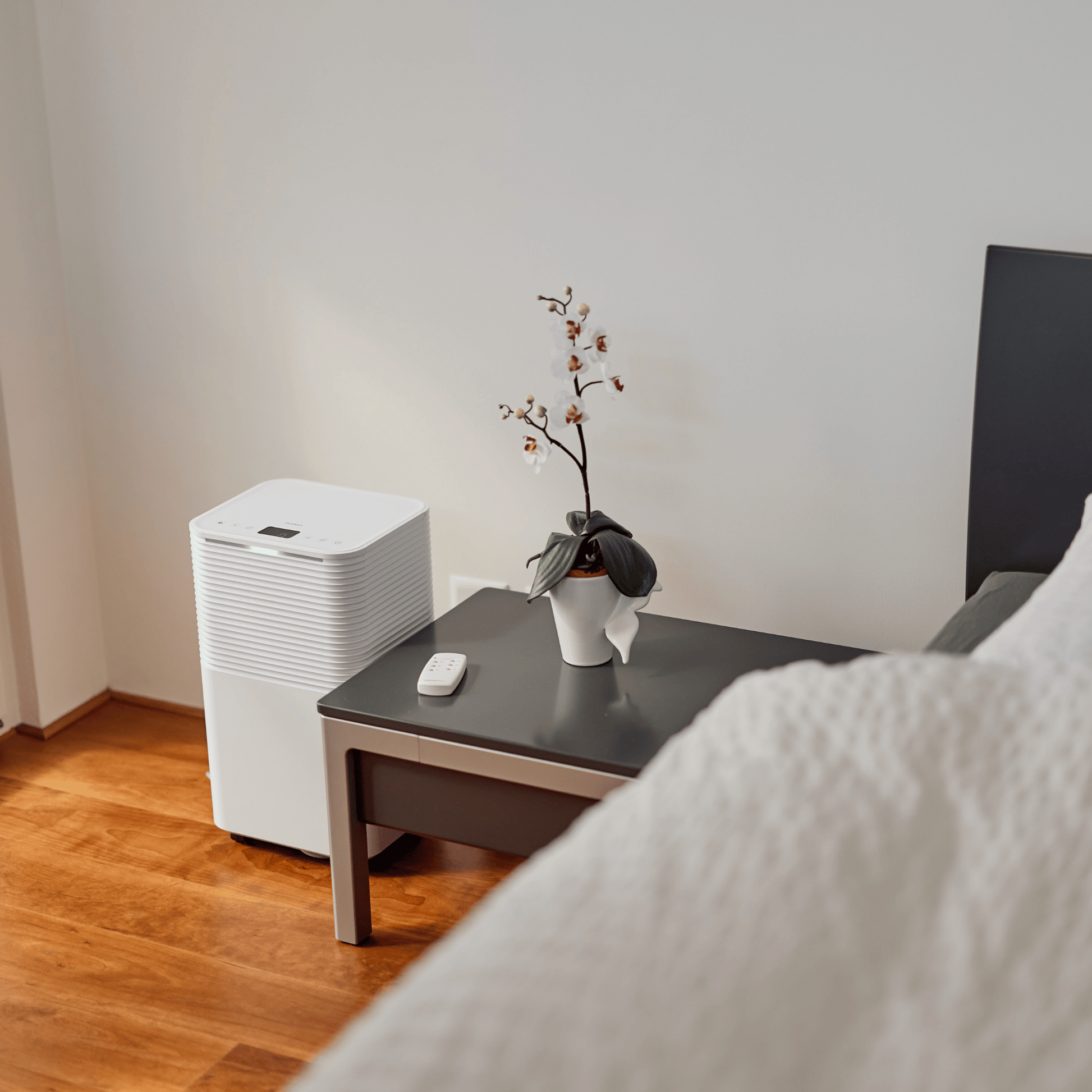 Der ecoQ DryAir 12L Essential bietet starke Entfeuchtungsleistung in kompakter Form – perfekt für Wohnungen, Büros oder Ferienhäuser.