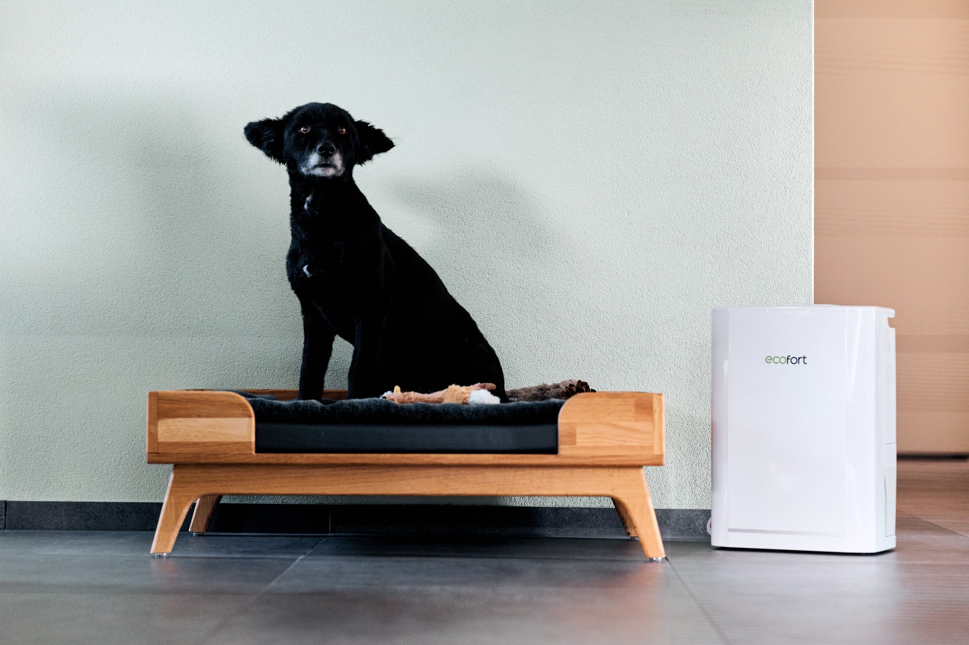 ecoQ DryAir 12L Luftentfeuchter mit Hygrostat, max. Entfeuchtungsleistung 12 l/24h