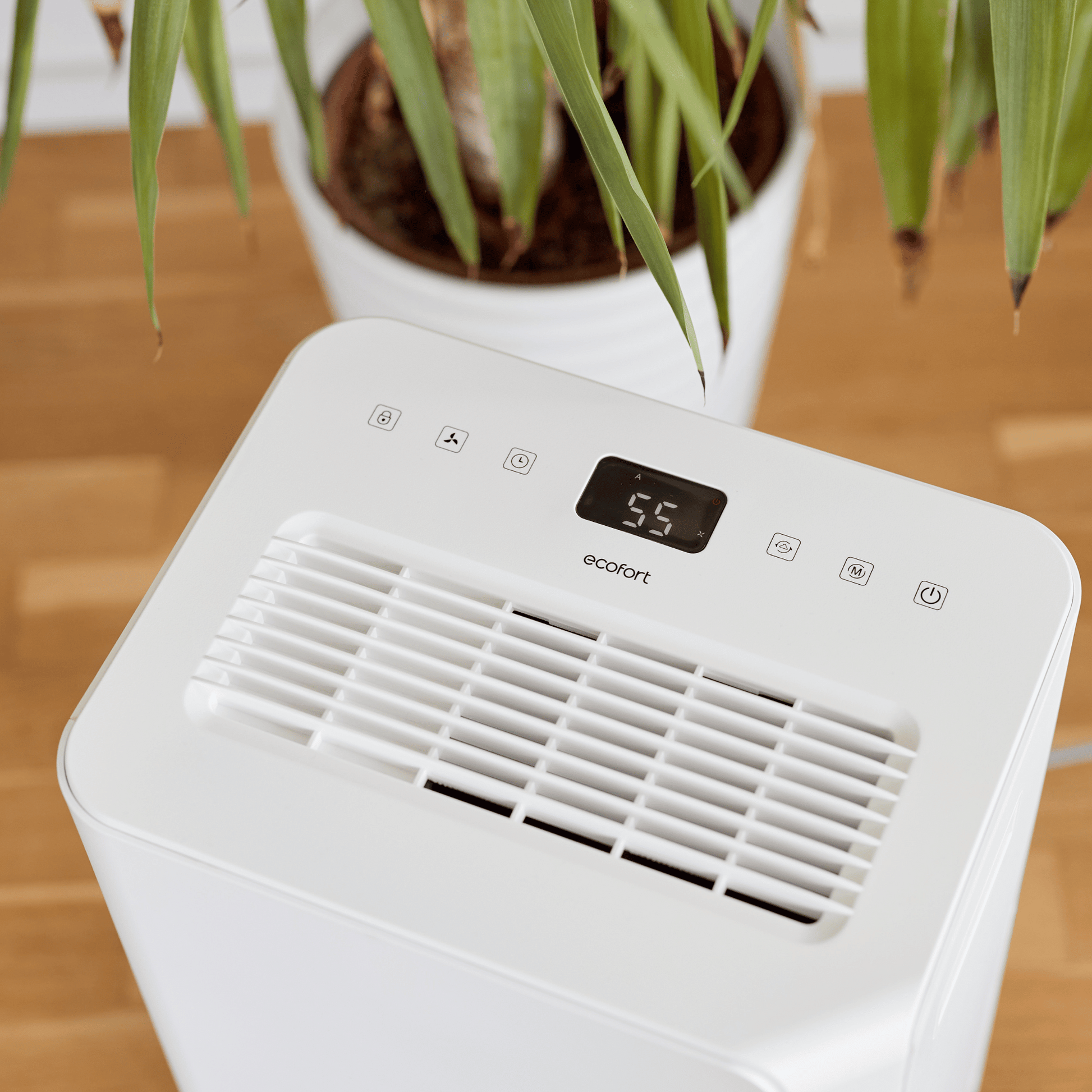 Leicht zu transportieren, stark in der Leistung: Der ecoQ DryAir 20L Essential entfeuchtet effizient bis zu 50 m².