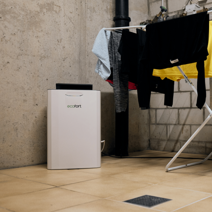 ecoQ DryAir 9L steady Luftentfeuchter mit Hygrostat, 5 Betriebsstufen und 8.6 l/24h Entfeuchtungsleistung.