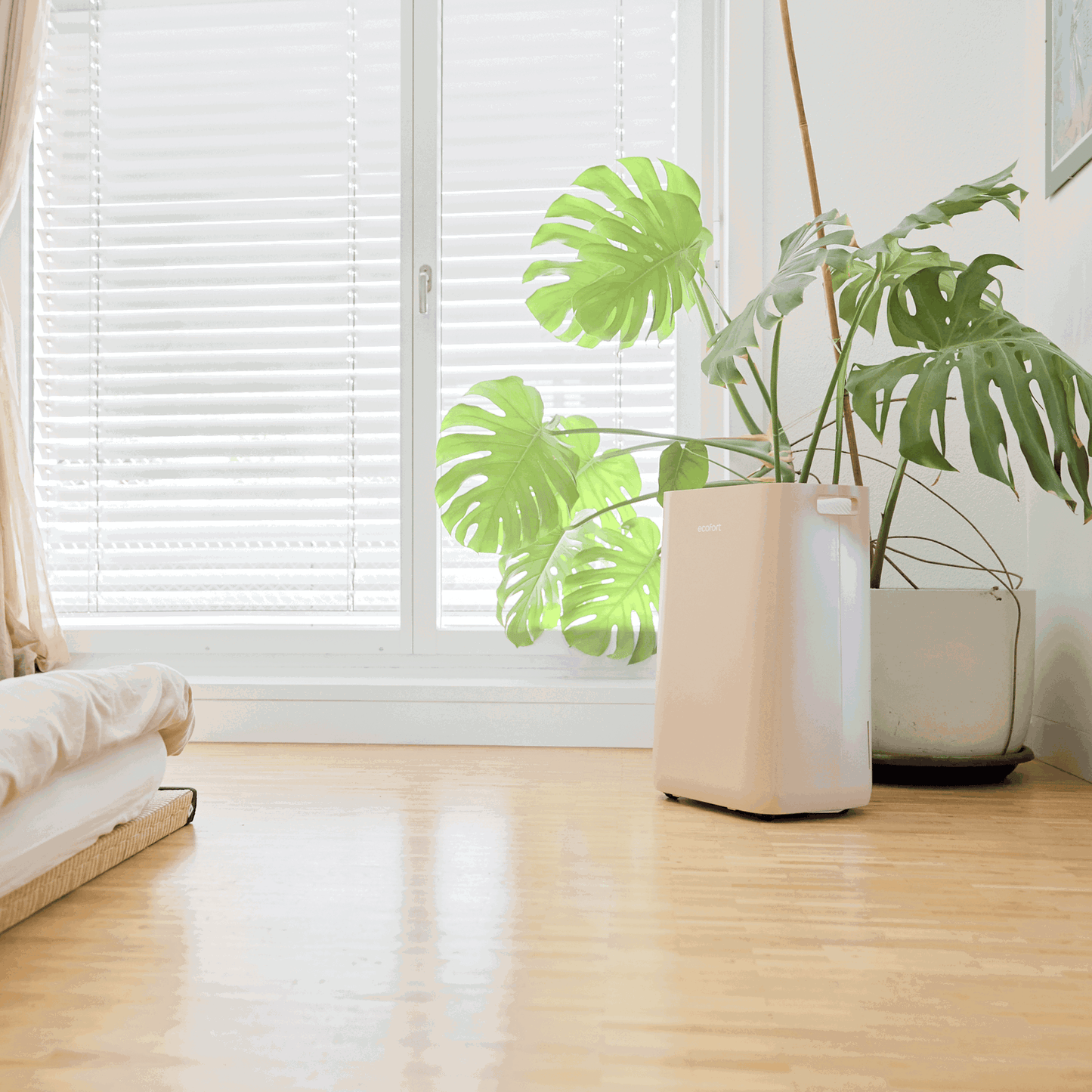 ecoQ DryAir 20L Energy Saver – Warm Sand, energieeffizient, extra leise, starker Testsieger TCS, ideal für Räume bis 50 m²