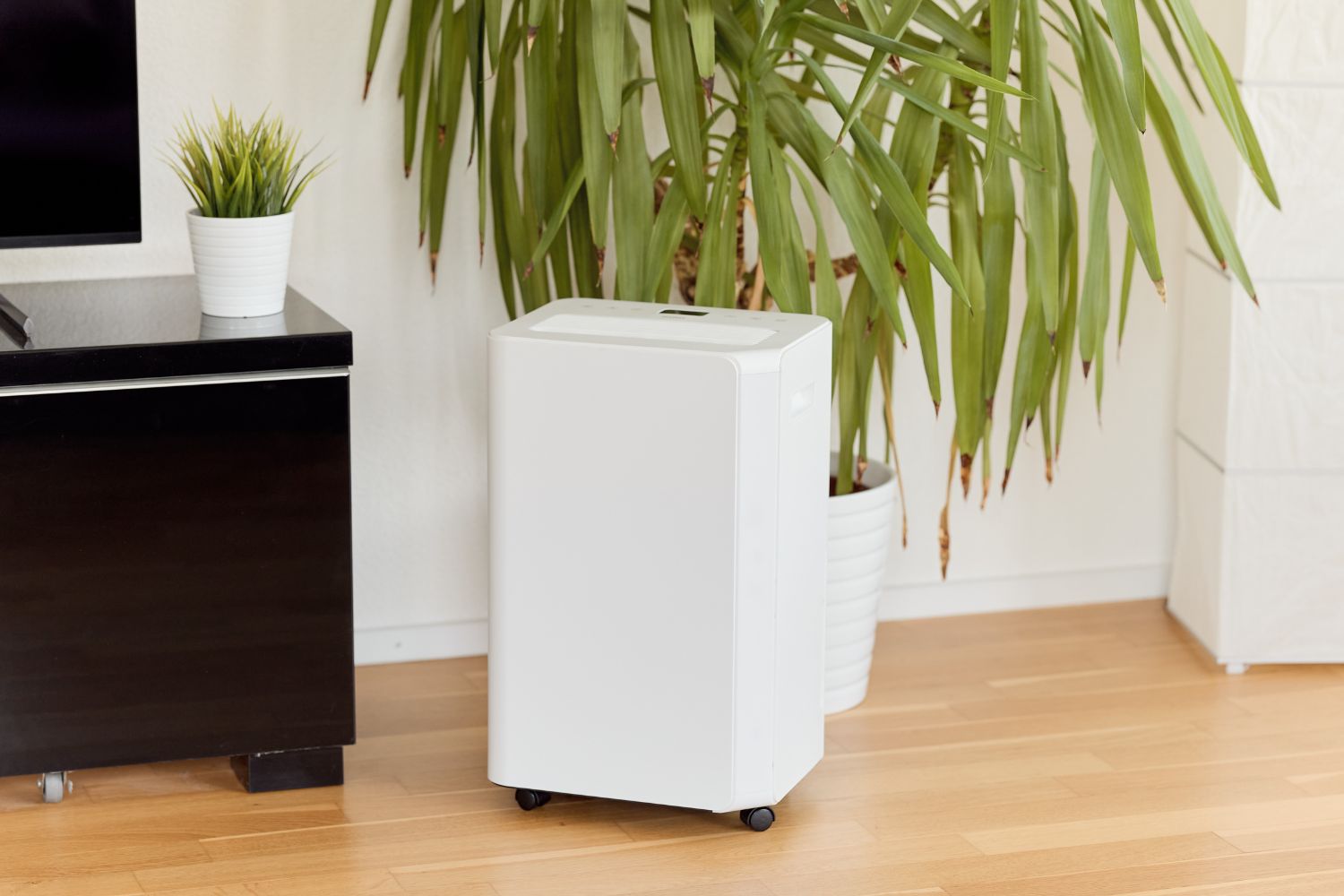 ecoQ DryAir 20L Essential Entfeuchter im Wohnzimmer